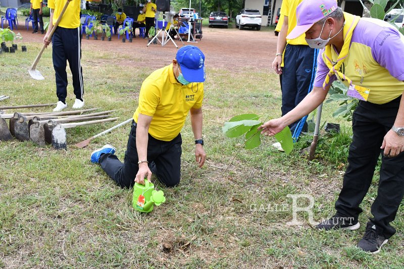 20210526-Tree planting dayt-068.JPG